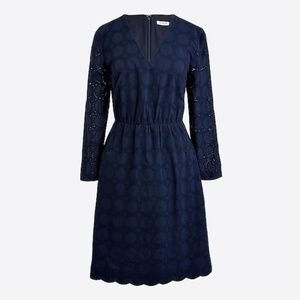 JCrew Factory V-neck Lace Dress
